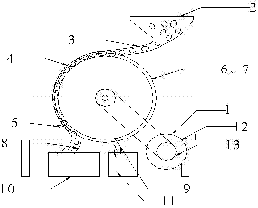 Rotary broad bean peeling machine