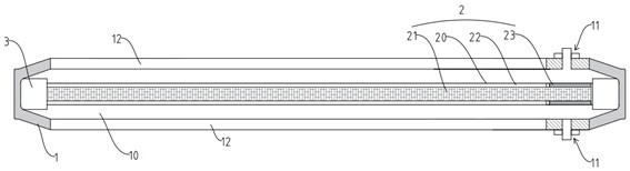 Urine trypsinogen-2 detection kit, adapted detection device and detection method