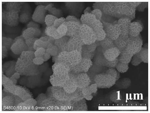 A kind of platinum/titanium dioxide nano flower composite material and its preparation method and application