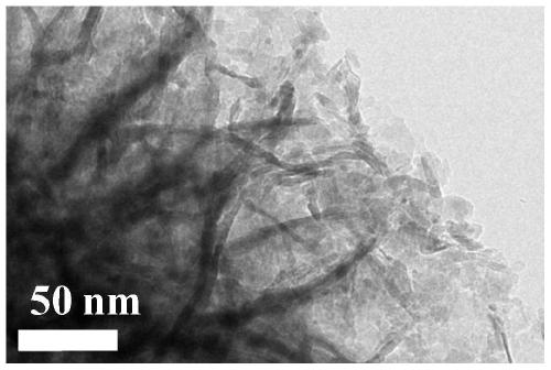 A kind of platinum/titanium dioxide nano flower composite material and its preparation method and application