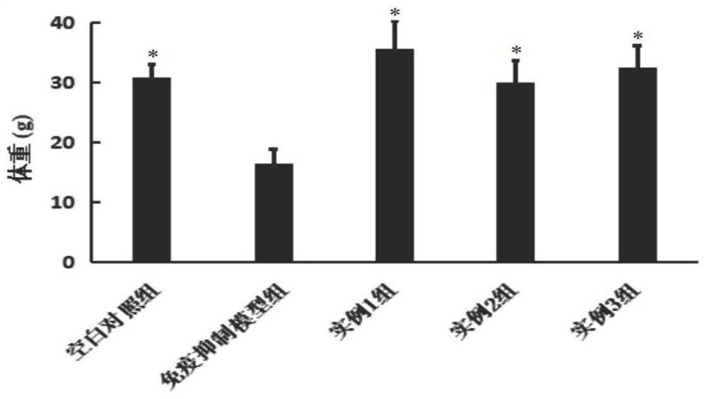 Preparation method of broussonetia papyrifera oral preparation for clearing heat, enhancing immunity and improving intestinal functions