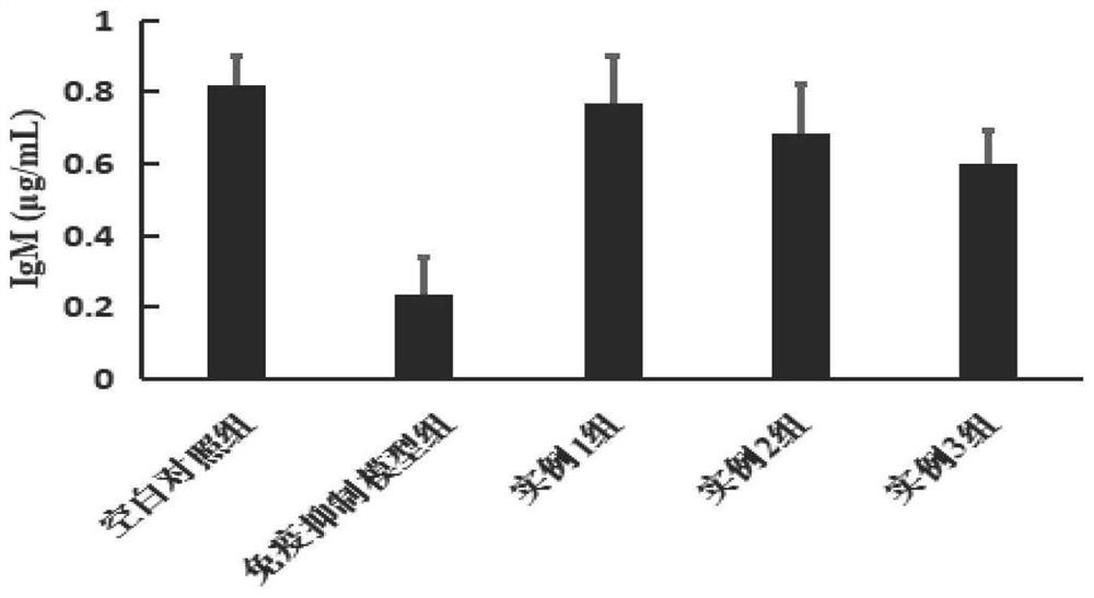 Preparation method of broussonetia papyrifera oral preparation for clearing heat, enhancing immunity and improving intestinal functions