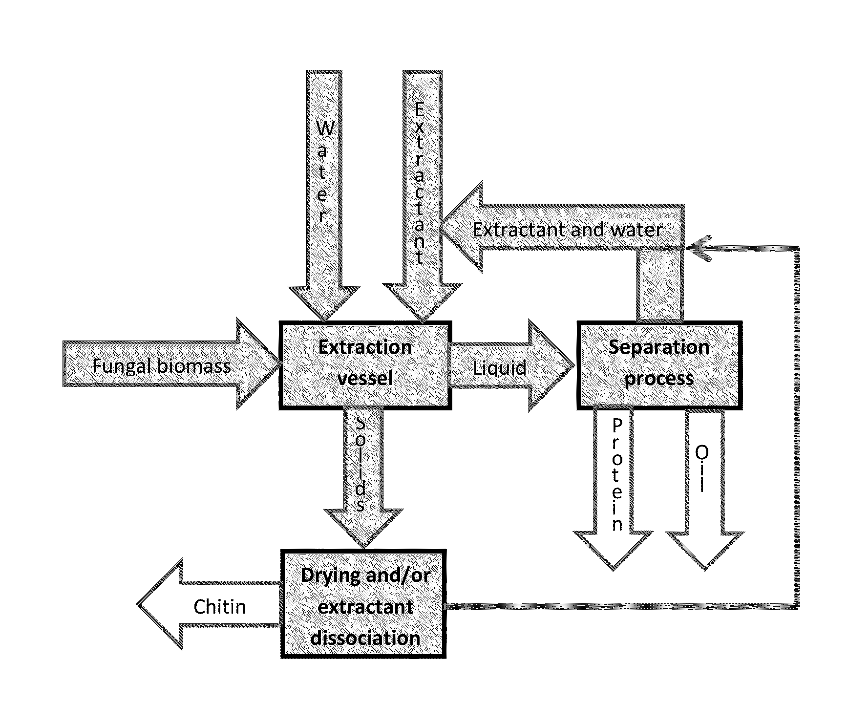 Processes for isolating chitin and chitosan from fungal biomass