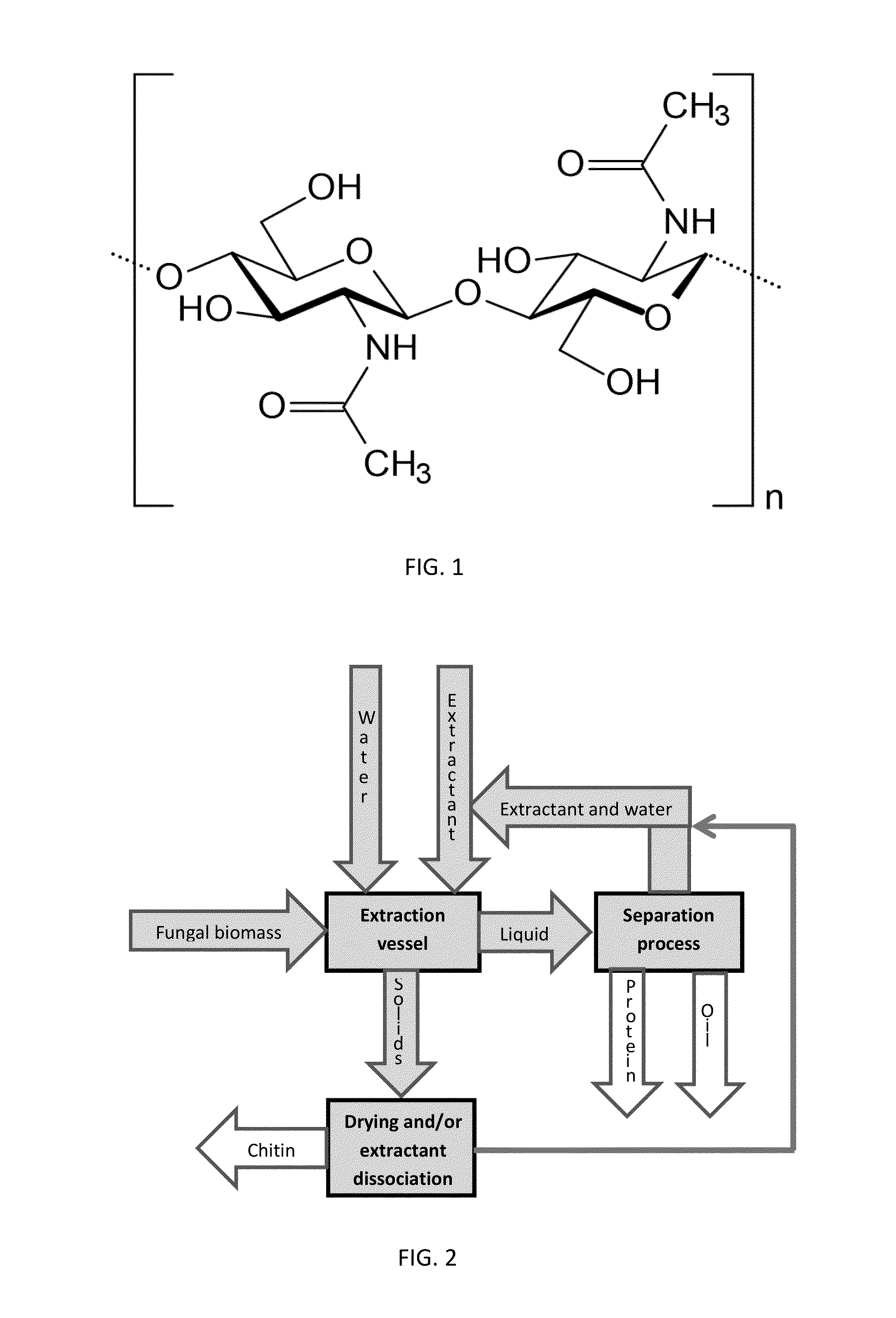 Processes for isolating chitin and chitosan from fungal biomass