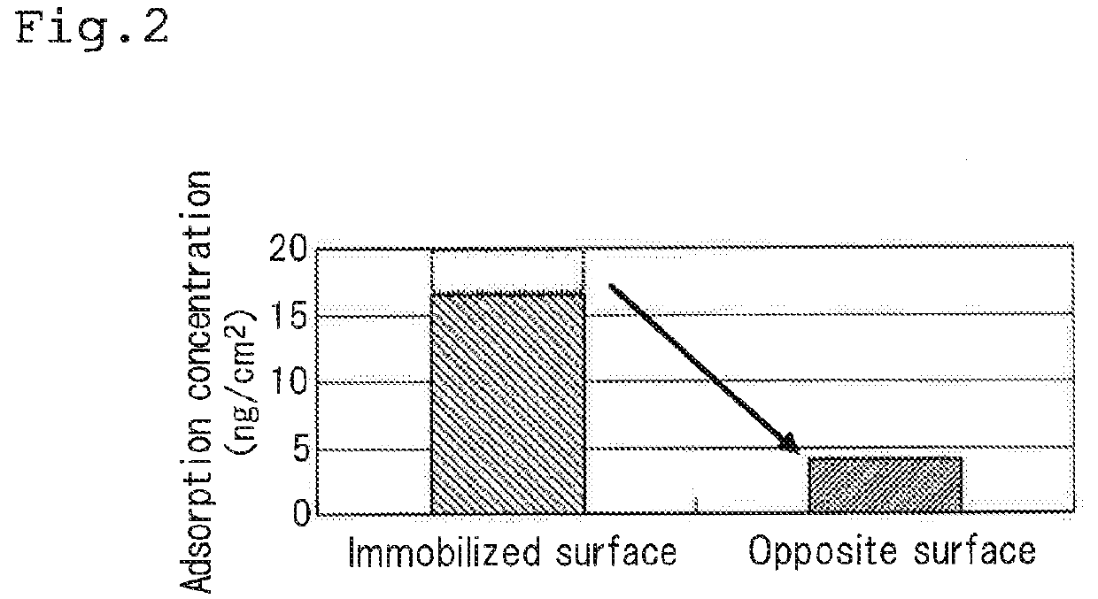 Culture container, method for culturing lymphocytes, culture-container production method, and solid-phasing apparatus