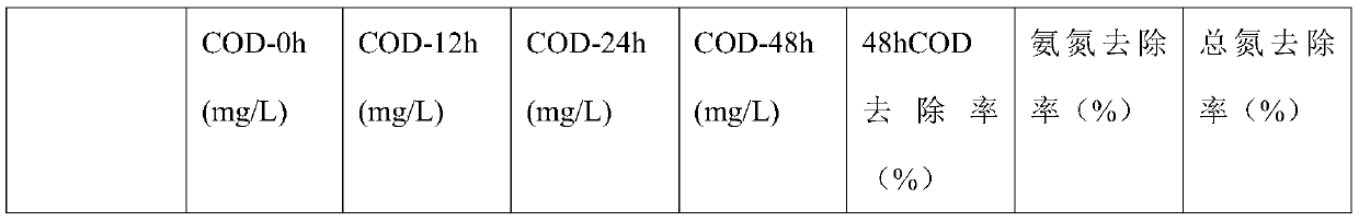 A kind of organic garbage degrading compound bacteria and its application