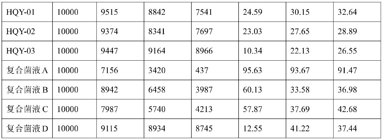 A kind of organic garbage degrading compound bacteria and its application