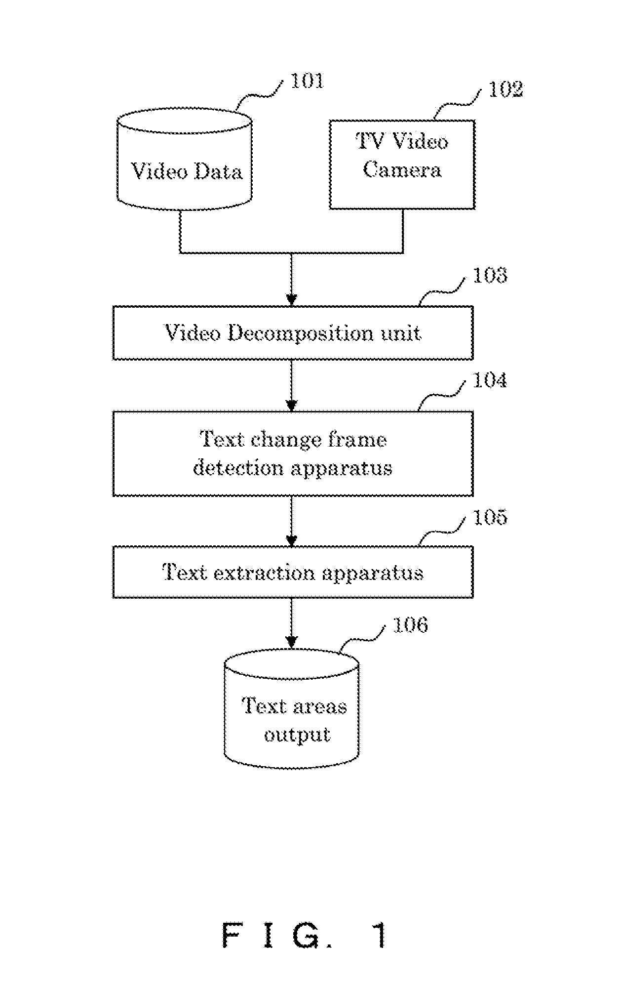 Video text processing apparatus