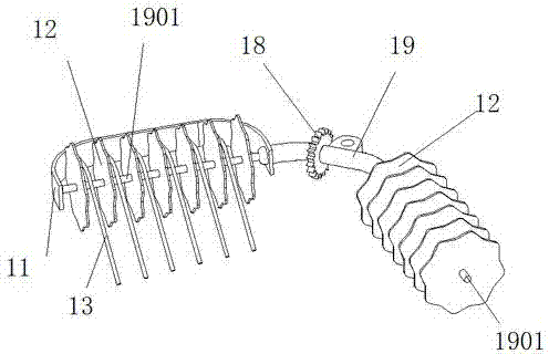 Vine-nut placement device and peanut harvester with same