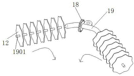Vine-nut placement device and peanut harvester with same
