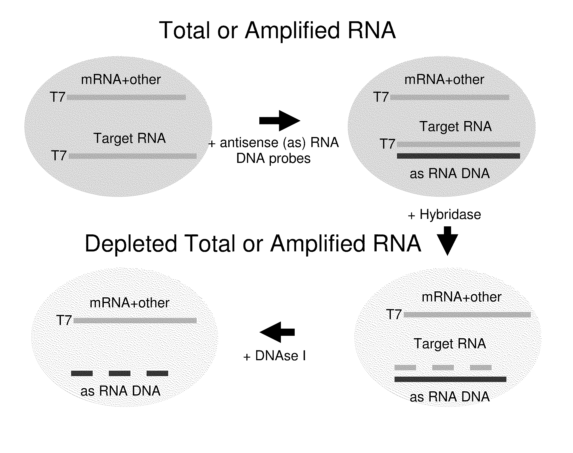 Methods for depleting RNA from nucleic acid samples
