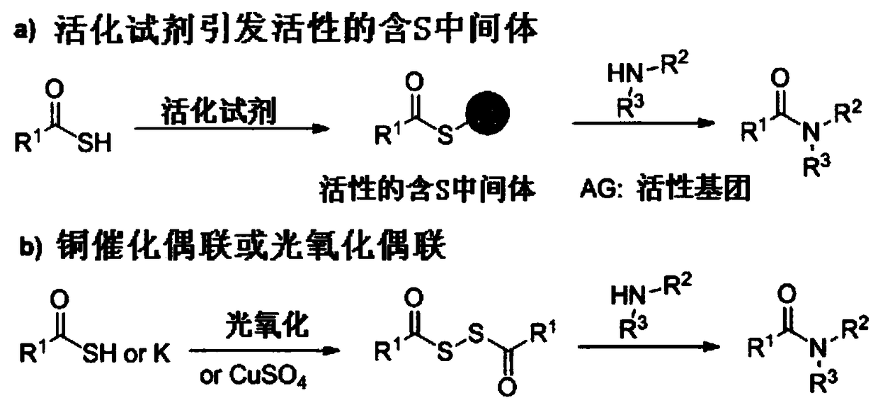 Electrochemical oxidation synthesis method for amide and application thereof