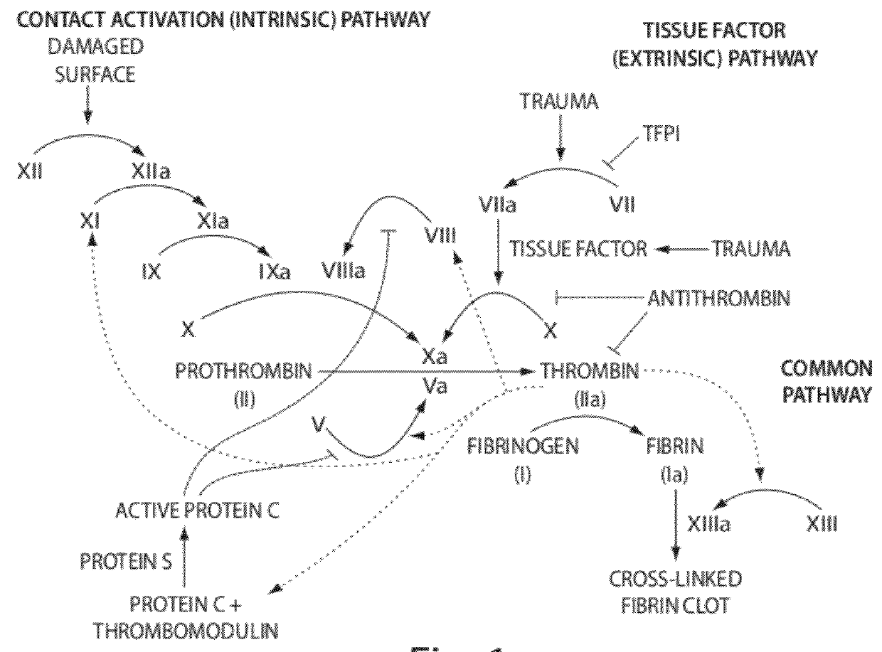 Aptamers to tissue factor pathway inhibitor and their use as bleeding disorder therapeutics