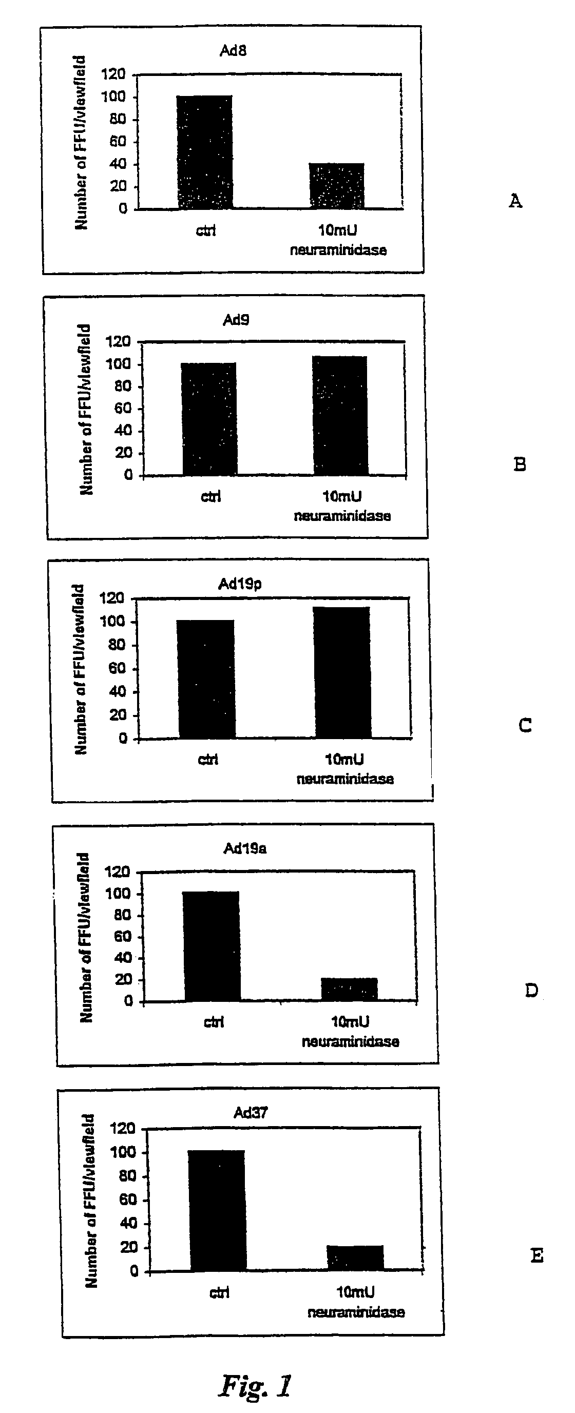 Method and composition for the treatment of adenoviral ocular infections