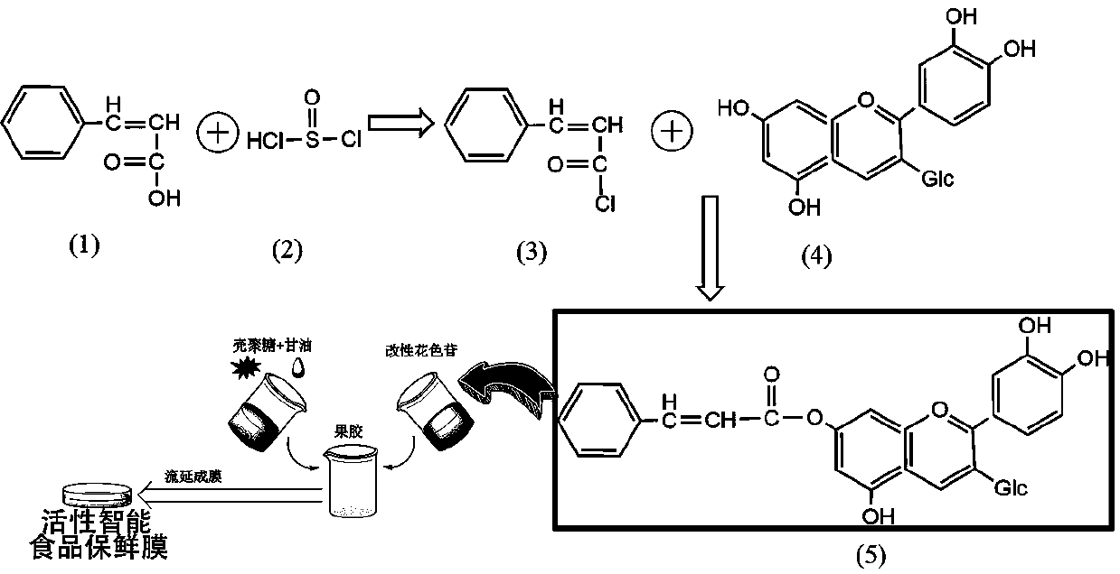 Active intelligent food preservative film and preparation method thereof