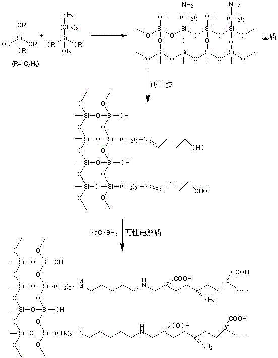 Amphoteric electrolyte-modified hybrid silica gel material and solid-phase extraction method thereof