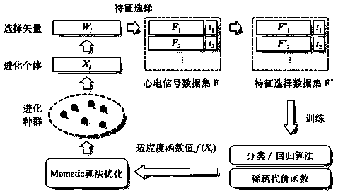 ECG signal feature selection method and system based on memetic algorithm