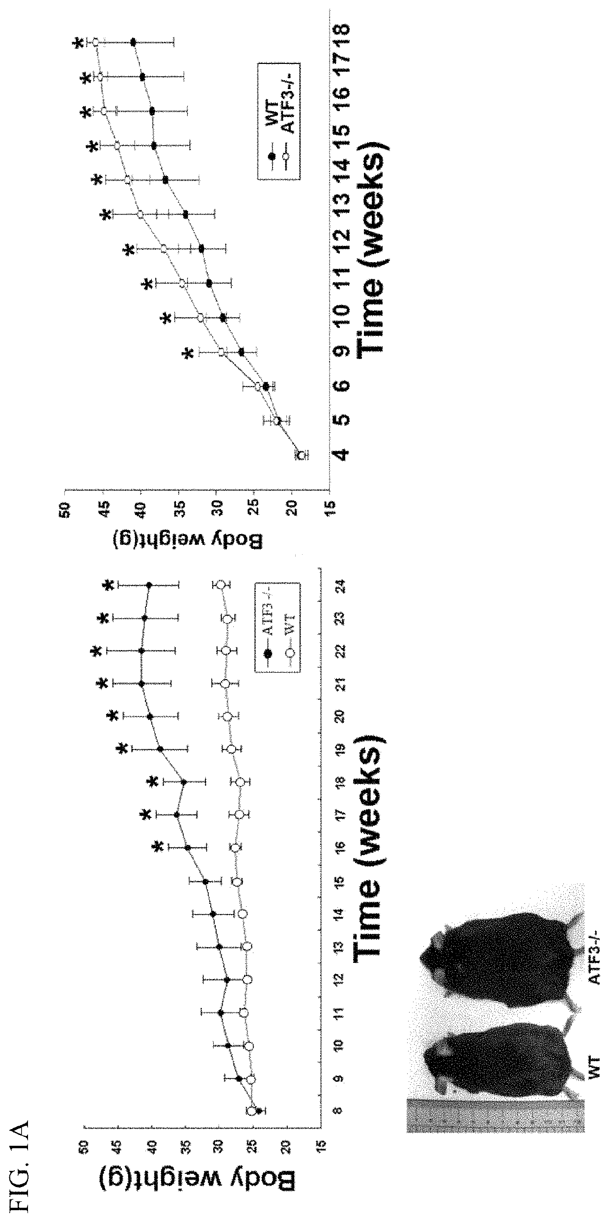 ATF3 induction compounds