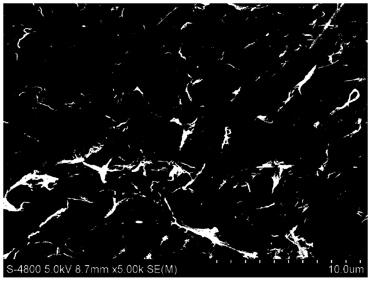 A preparation method of electrospun nanofiber composite modified screen printing electrode