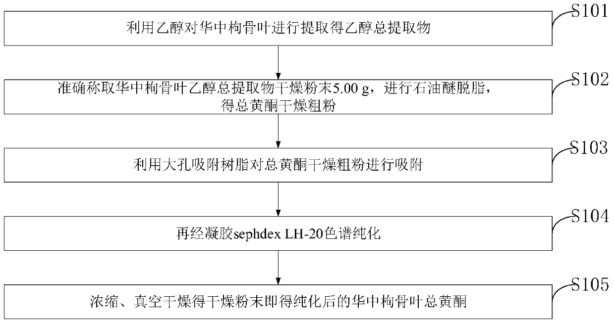 Purification method and application of ilex centrochinensis leaf total flavonoids