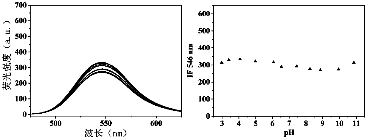 Construction and Application of Novel Fluorescent Polarization Sensor Based on Small Molecule Fluorescent Probe