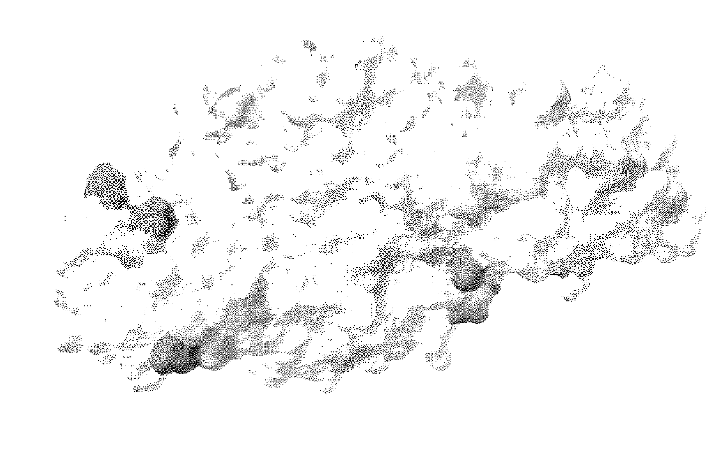 Alpha-amylase variants having an elevated solvent stability, method for the production thereof and detergents and cleansers containing these alpha-amylase variants