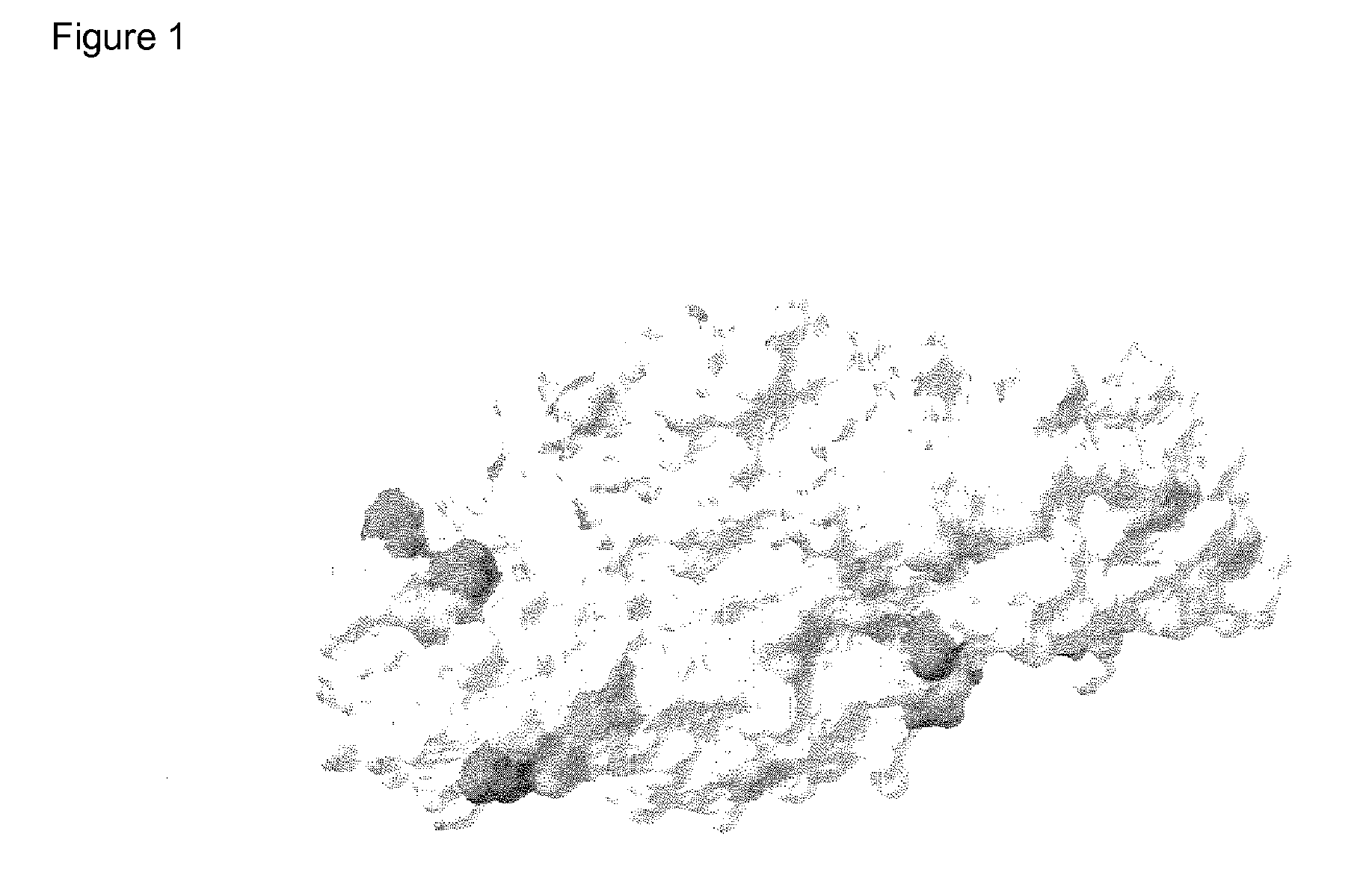 Alpha-amylase variants having an elevated solvent stability, method for the production thereof and detergents and cleansers containing these alpha-amylase variants