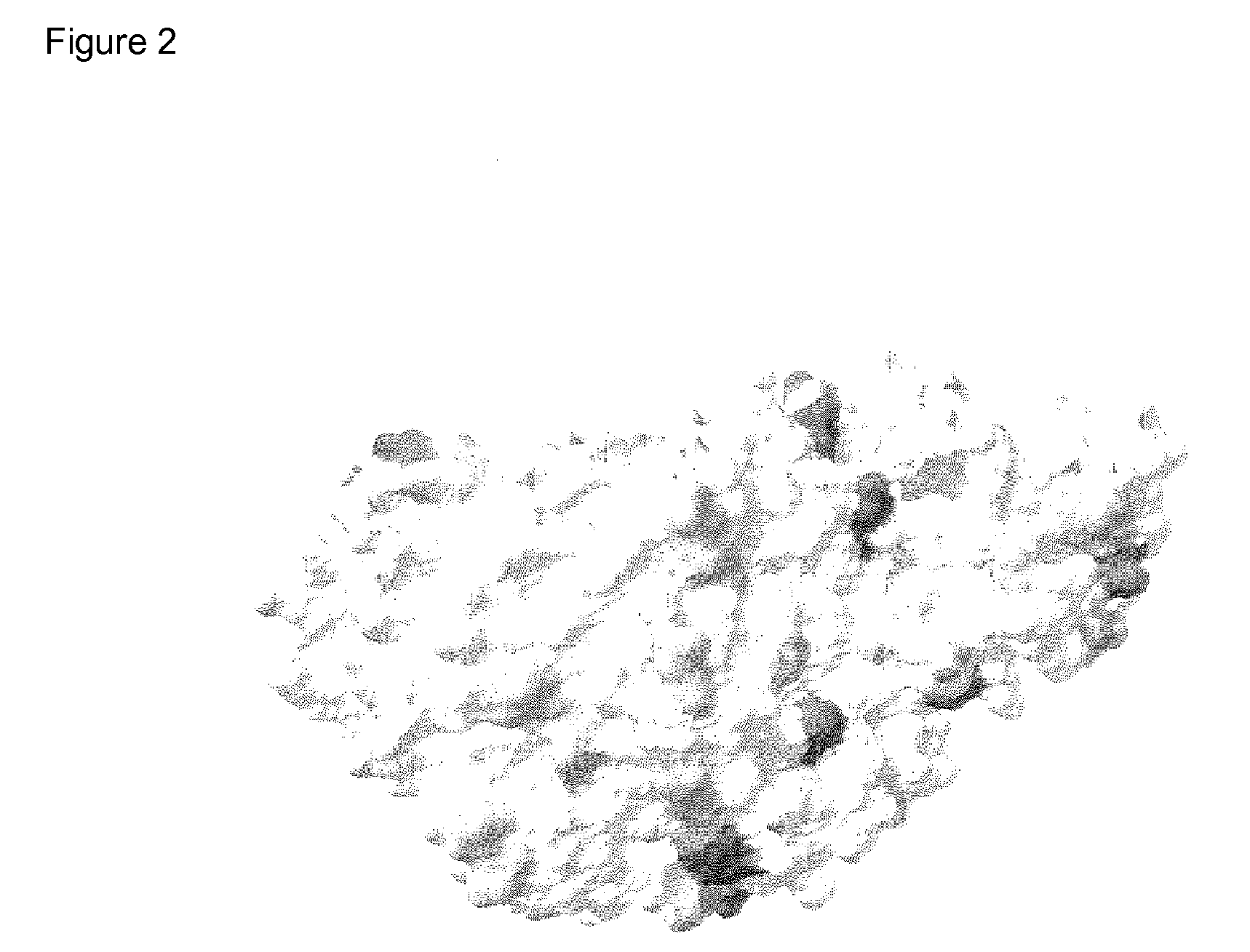 Alpha-amylase variants having an elevated solvent stability, method for the production thereof and detergents and cleansers containing these alpha-amylase variants