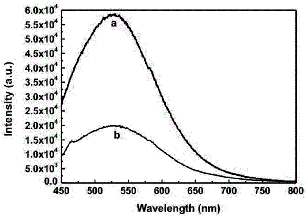Detection method for heme based on boron-doped grapheme quantum dots fluorescence quenching effect