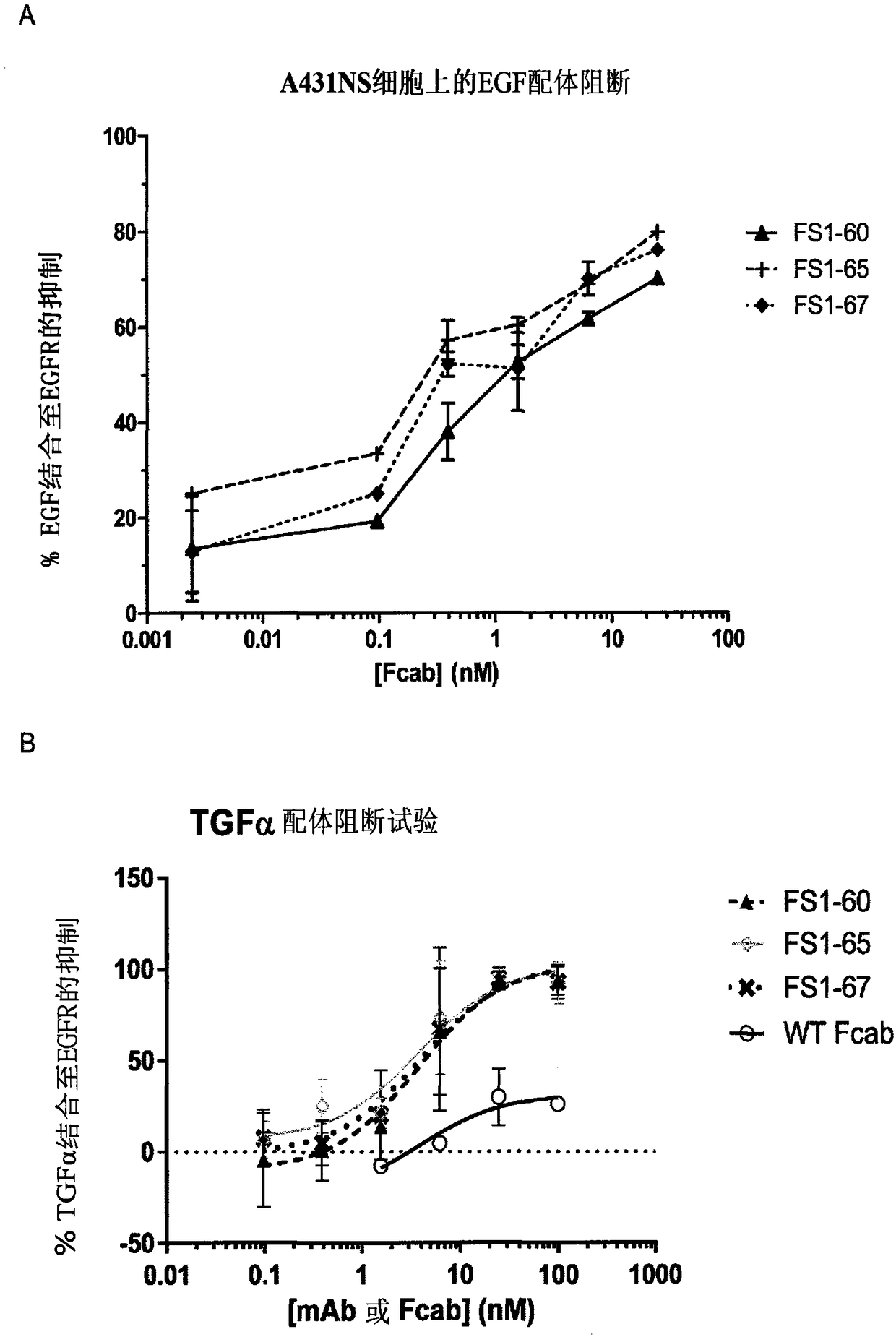 EGFR binding molecules