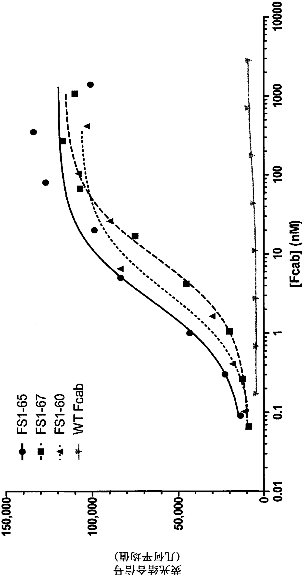 EGFR binding molecules