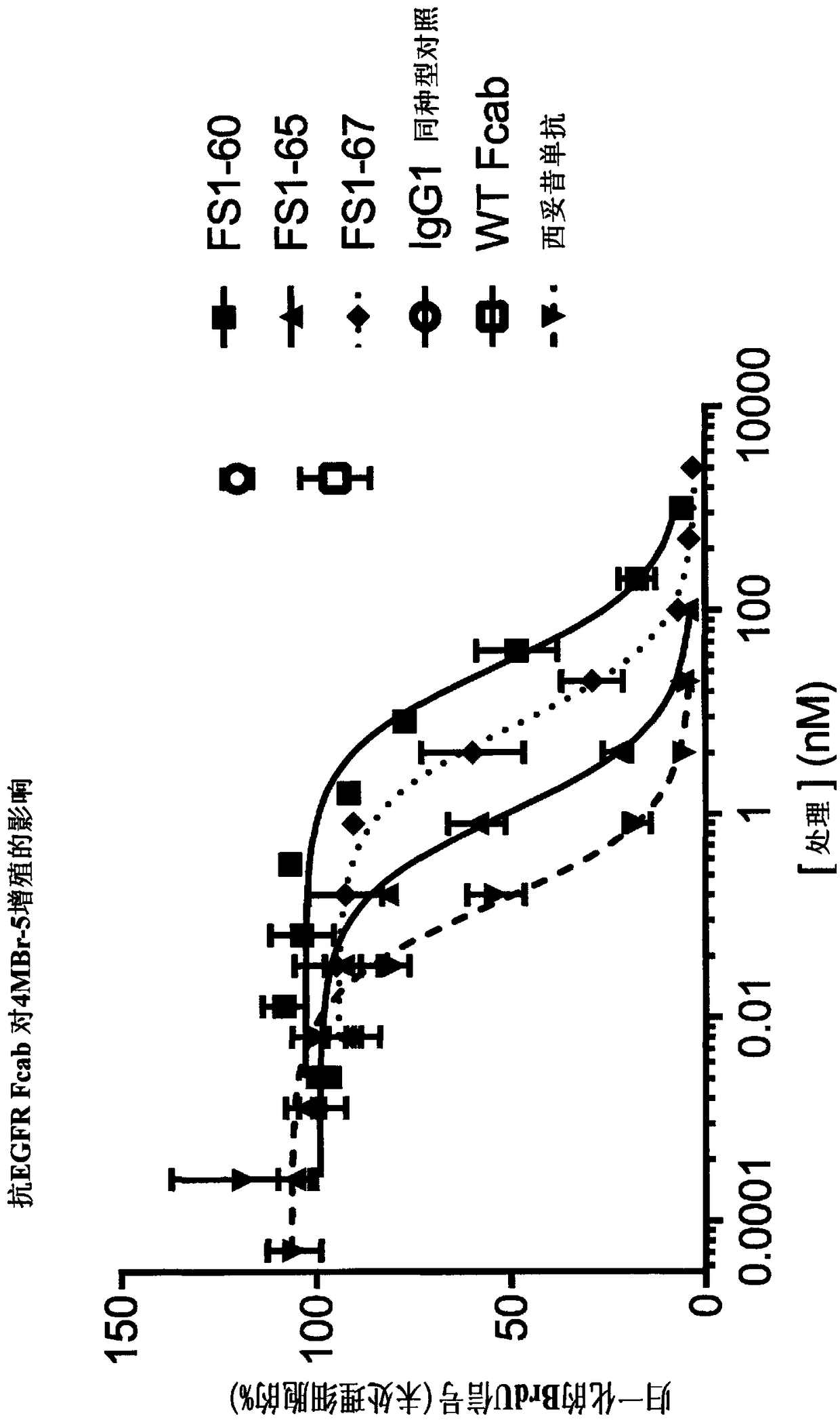 EGFR binding molecules