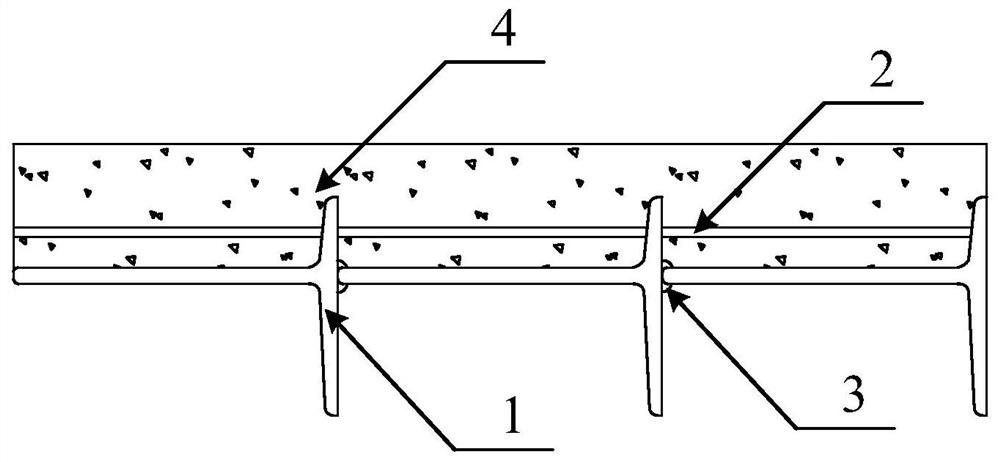 A ductile composite bridge deck composed of T-section steel