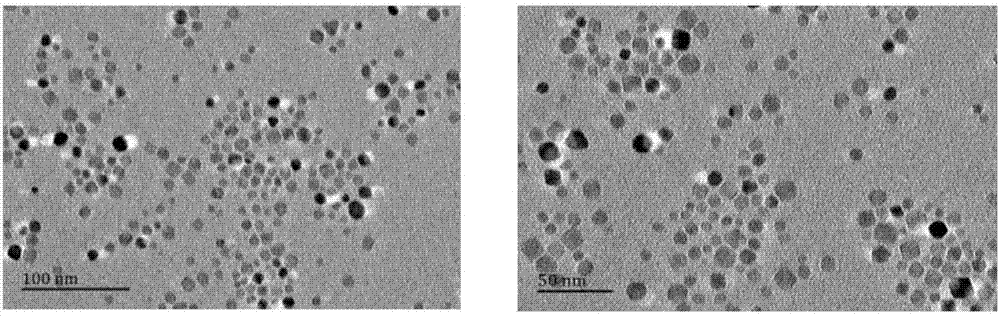 Folic acid mediated antitumor drug superparamagnetic tumor targeted nanoparticle and preparation method thereof