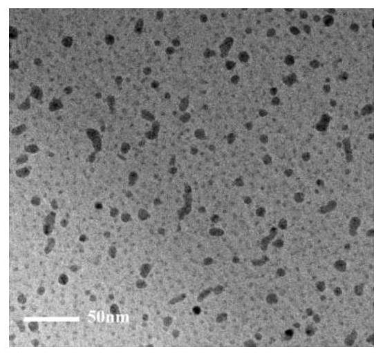 A kind of strongly stable light-limiting five-member polyelement nanoparticle and its preparation method