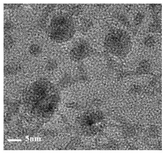 A kind of strongly stable light-limiting five-member polyelement nanoparticle and its preparation method