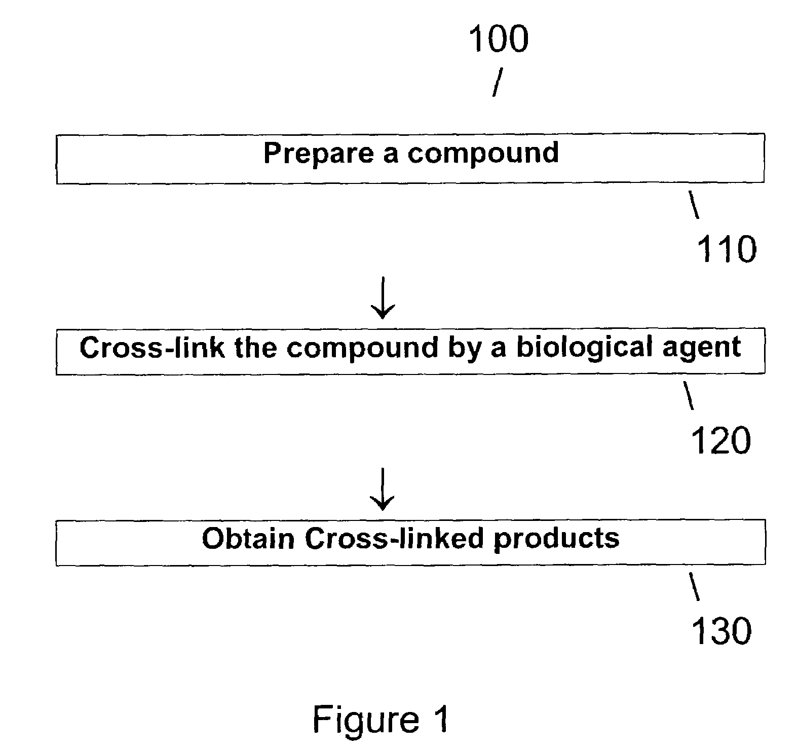 Method of producing transglutaminase having broad substrate activity