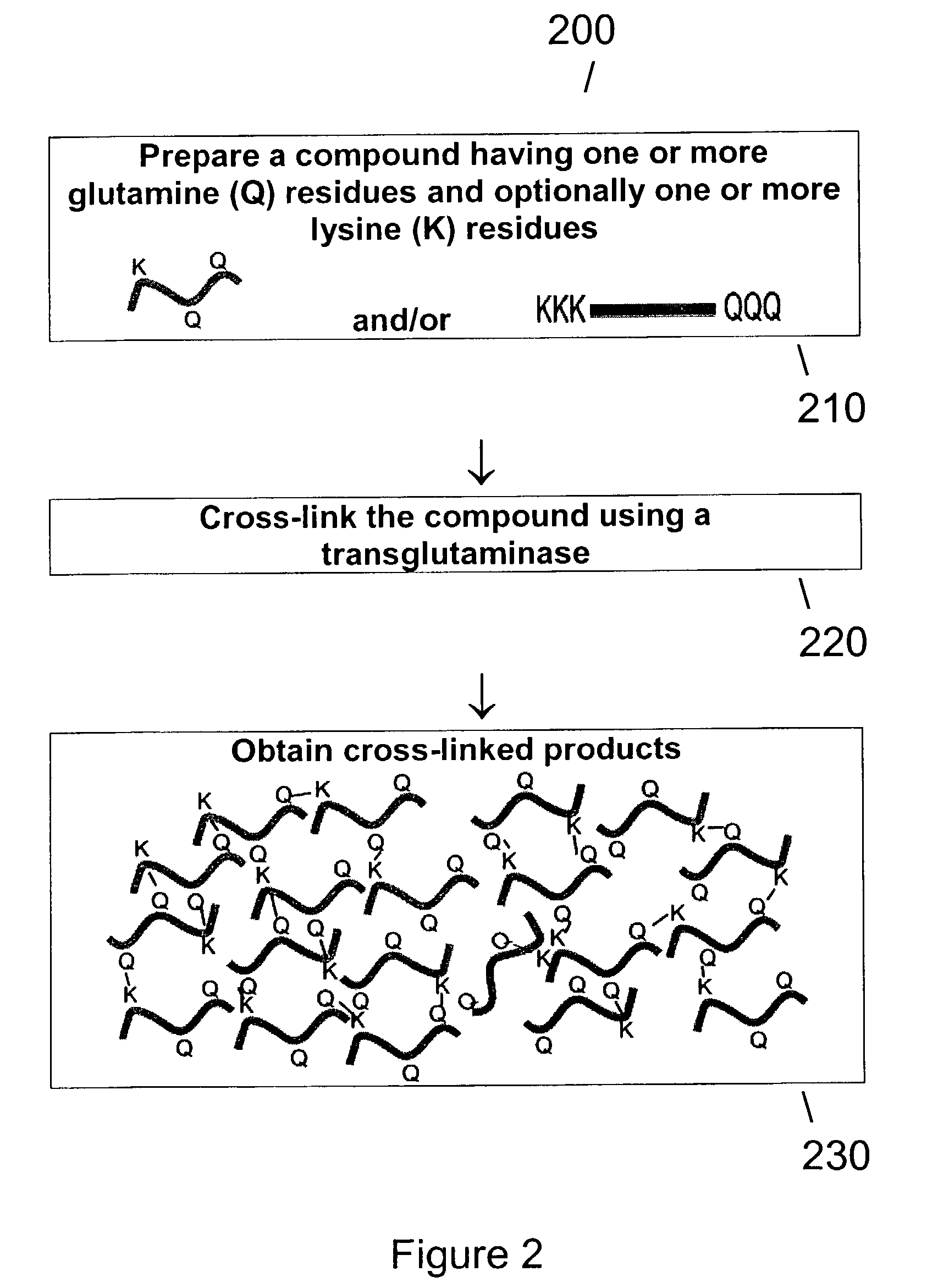 Method of producing transglutaminase having broad substrate activity