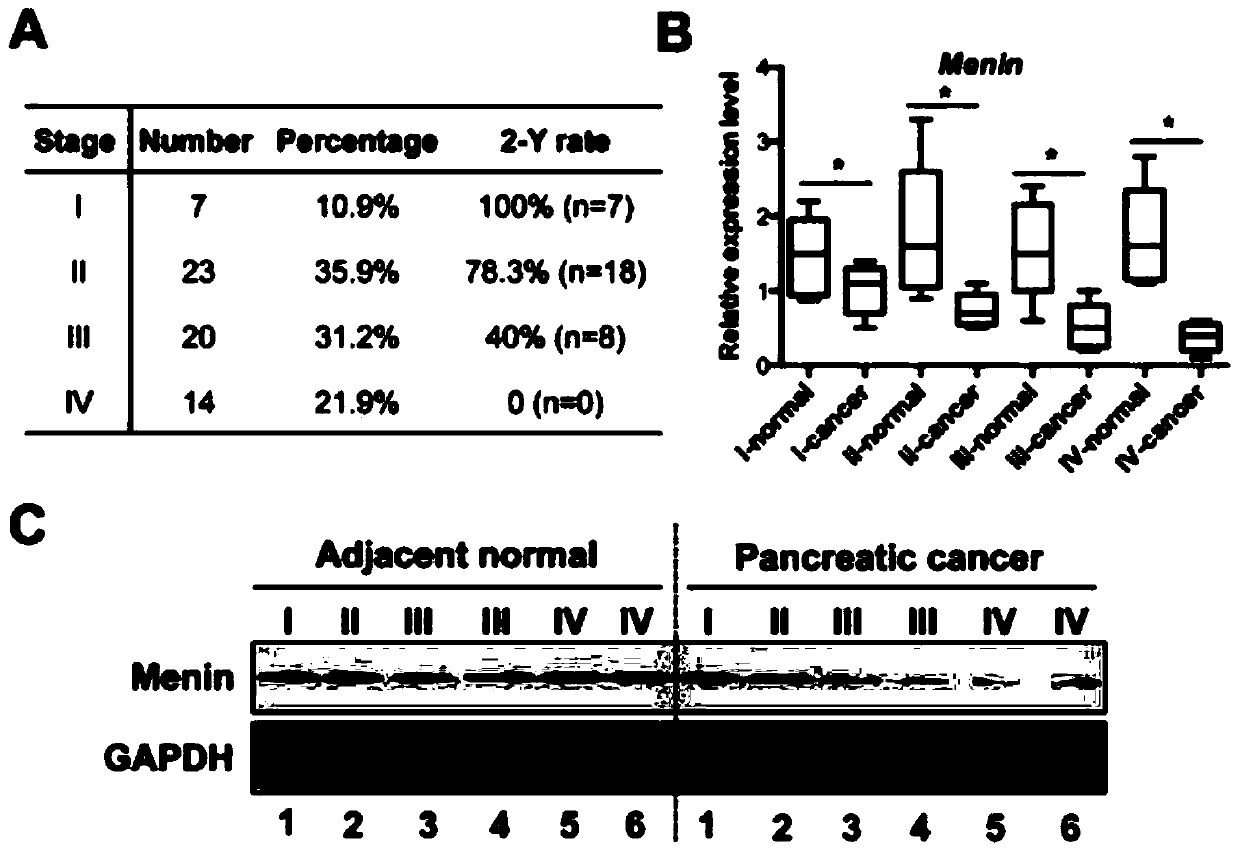 Application of menin factor