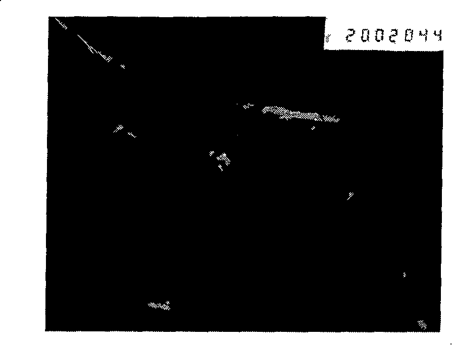 Preparation method of star shaped copper sulfide