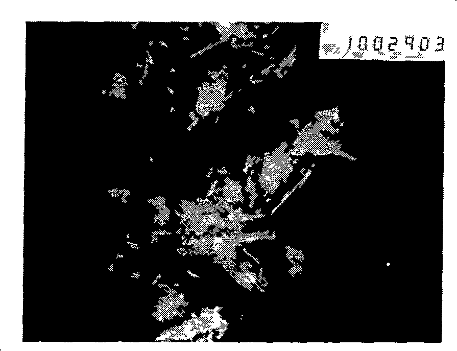 Preparation method of star shaped copper sulfide