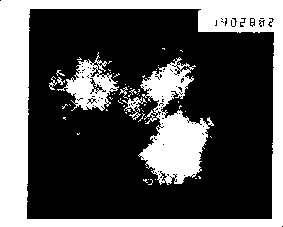 Preparation method of star shaped copper sulfide