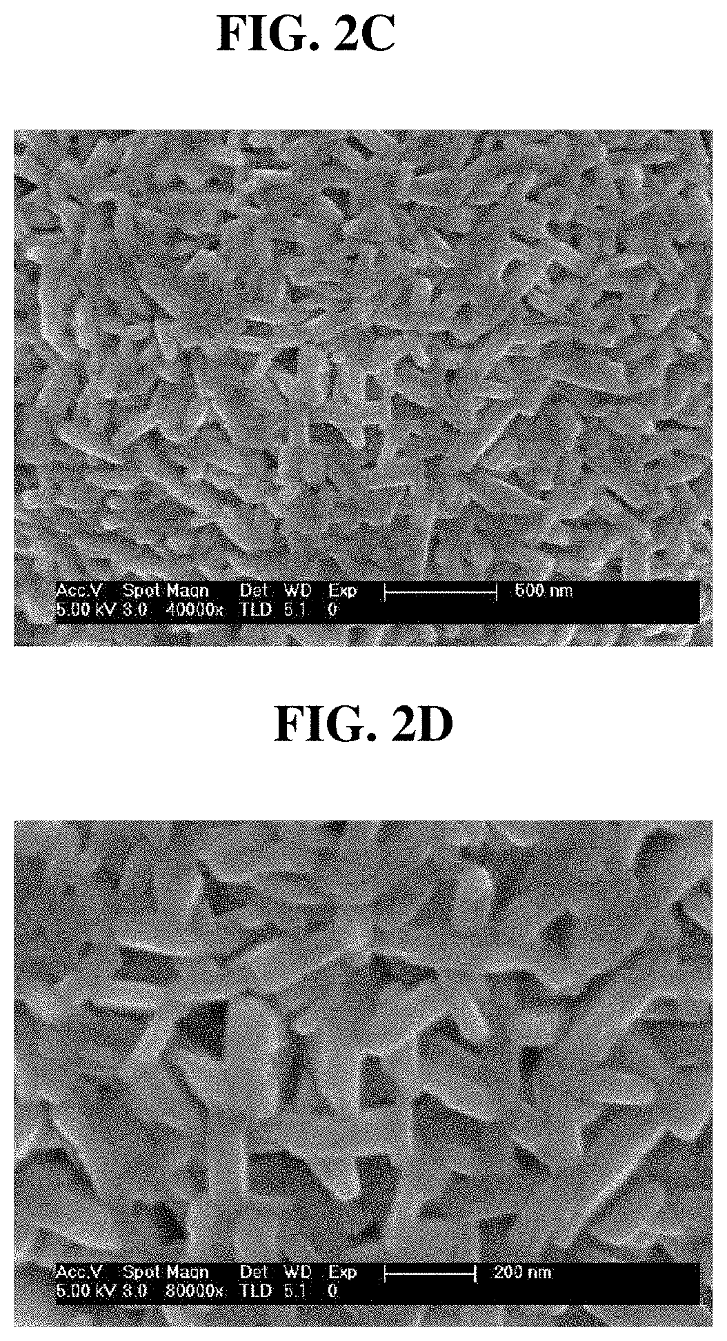 Nickel-based active material precursor for lithium secondary battery, method of preparing the same, nickel-based active material for lithium secondary battery formed therefrom, and lithium secondary battery including positive electrode including nickel-based active material