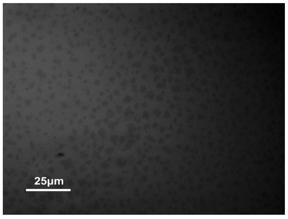 A kind of quasi-mechanical stripping device and production method for producing graphene at a ton level