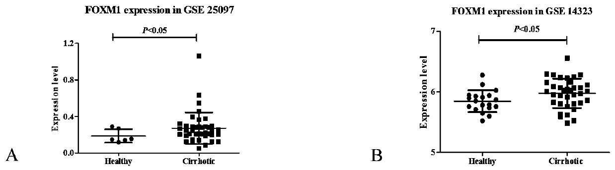 Application of foxm1 inhibitor fdi-6 against liver fibrosis