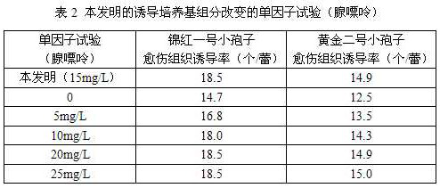 A kind of pumpkin free microspore induction medium and induction culture method