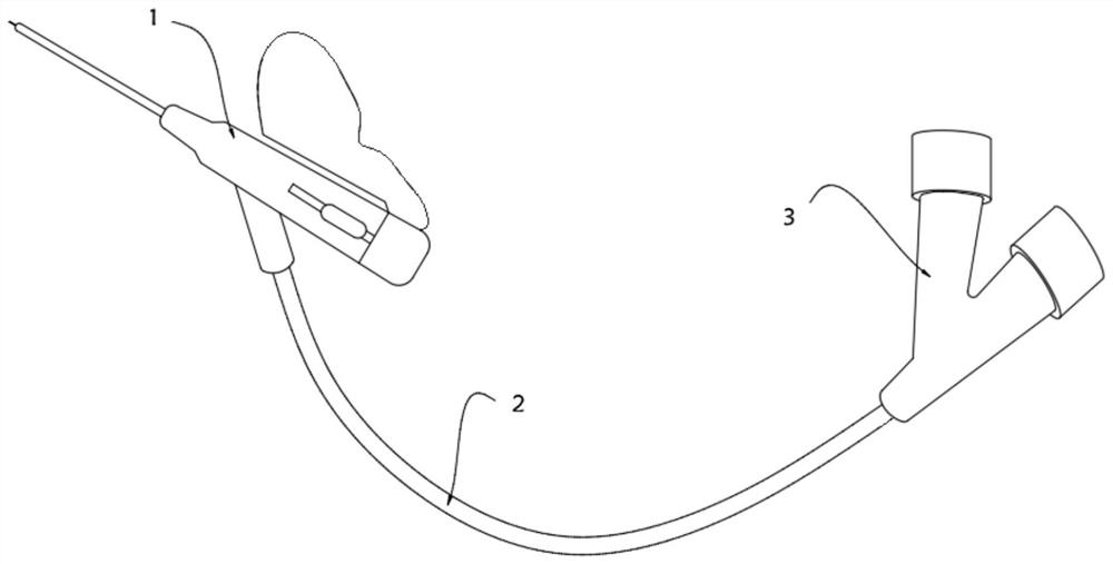 A multifunctional indwelling needle