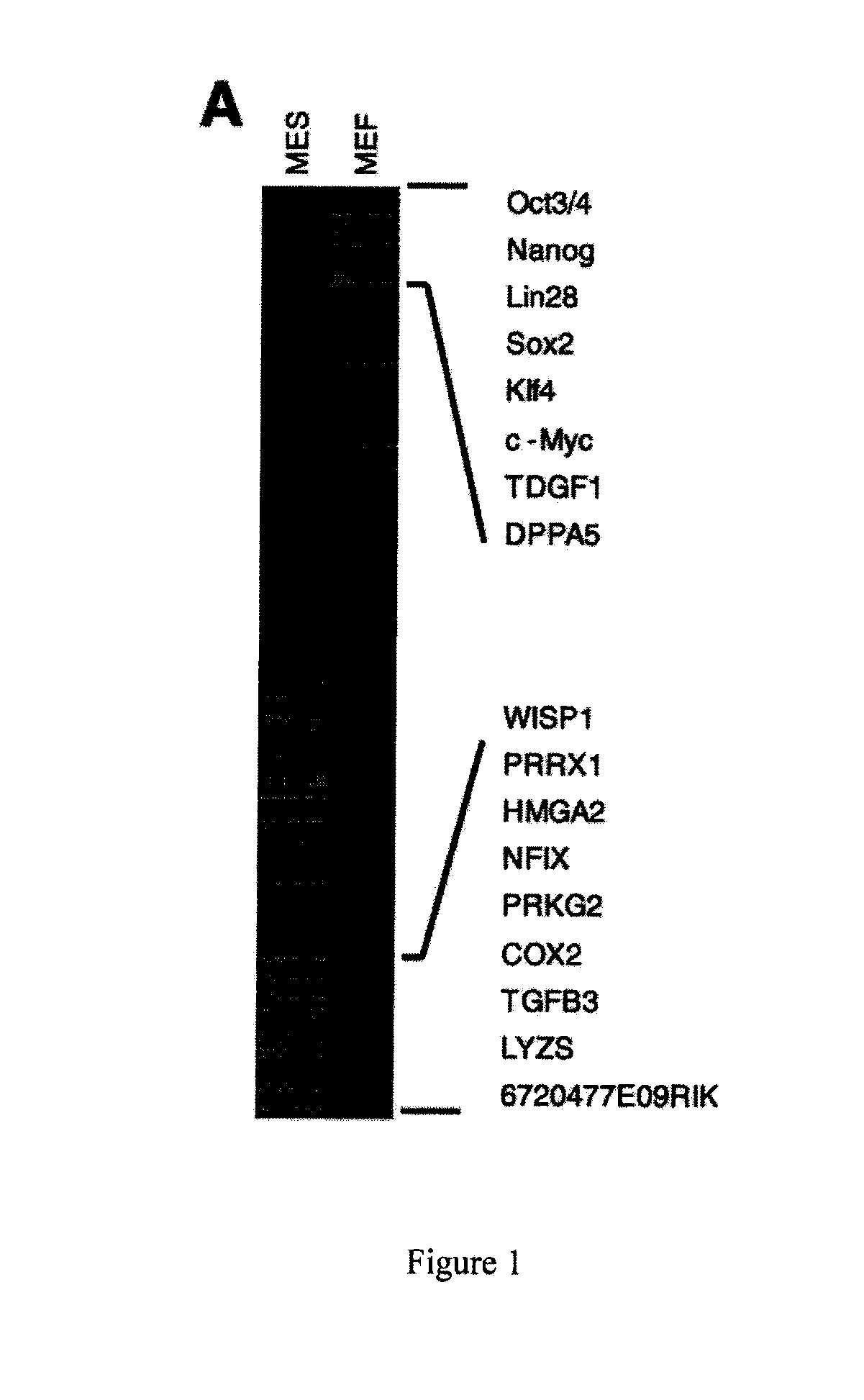 Method and compounds for generation of iPSCs