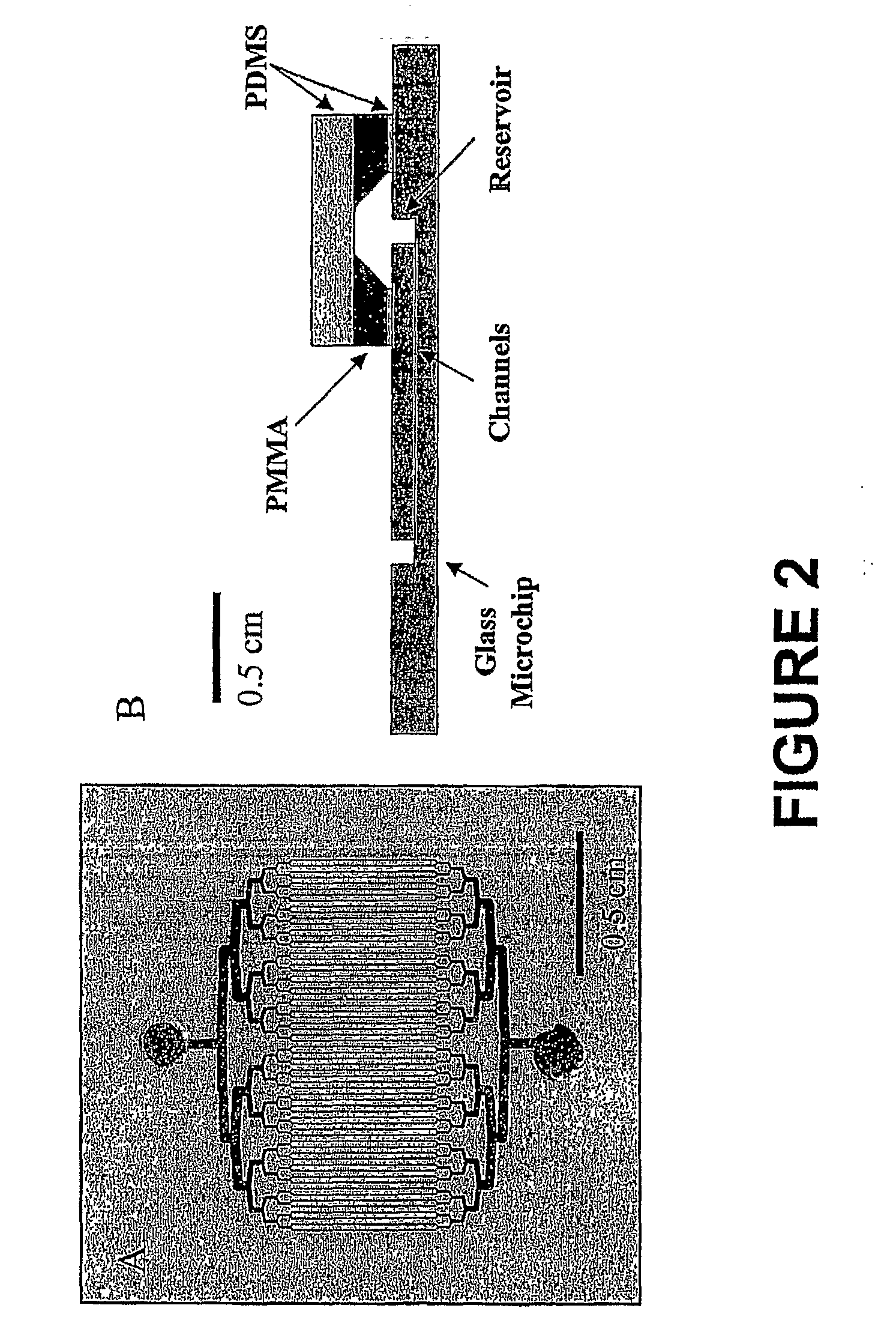 Nucleic acid isolation methods and materials and devices thereof