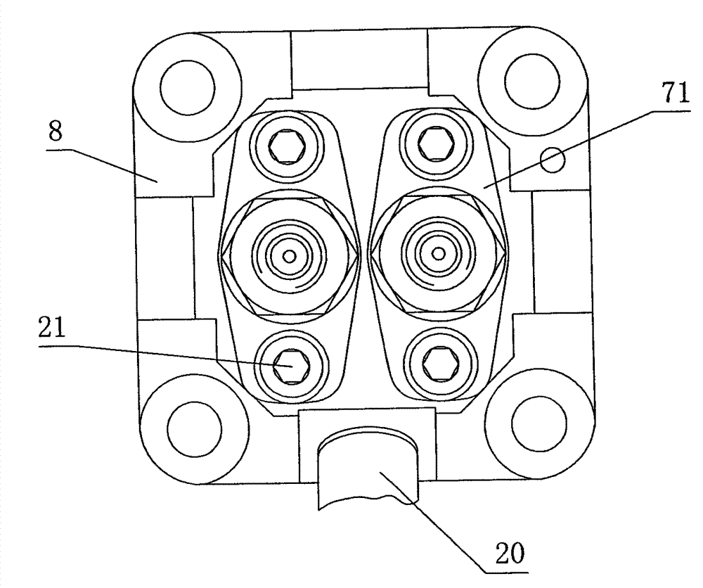 Double-cylinder line-up fuel injection pump for diesel engine